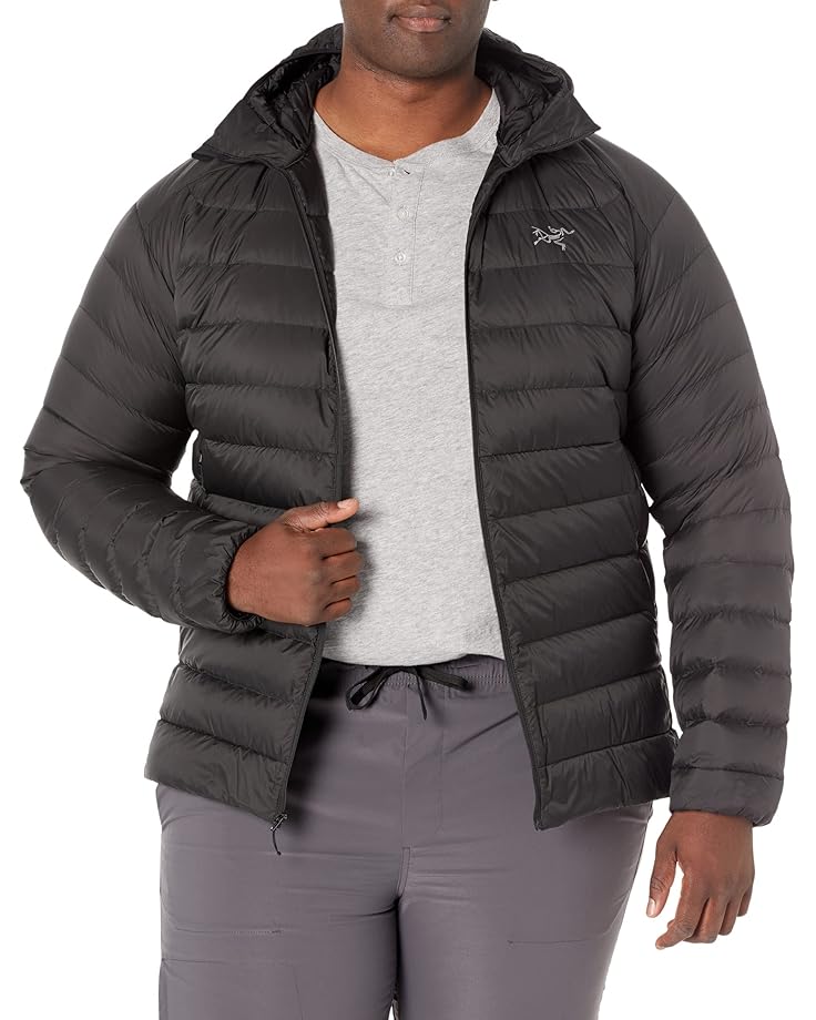 Arc'teryx Cerium Hoodie | Zappos.com